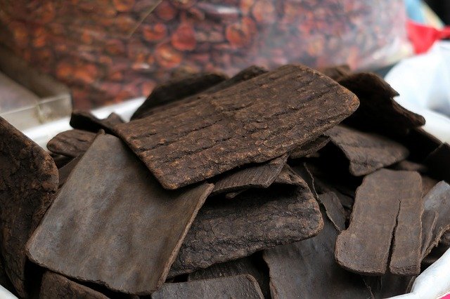 Free download Eucommia Chinese Medicine -  free photo or picture to be edited with GIMP online image editor