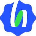 EUI 辅助工具  screen for extension Chrome web store in OffiDocs Chromium