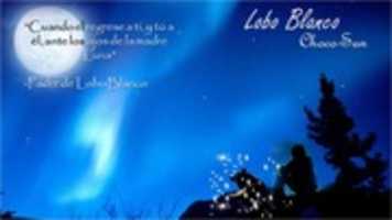Free download Eunhae Moon free photo or picture to be edited with GIMP online image editor