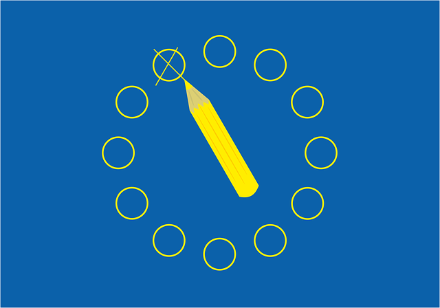 Free download European Elections Choice Europe - Free vector graphic on Pixabay free illustration to be edited with GIMP free online image editor