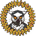 Evalute Amazon Reviews Lemur (Earl)  screen for extension Chrome web store in OffiDocs Chromium