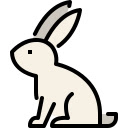 Evelynn AI  screen for extension Chrome web store in OffiDocs Chromium