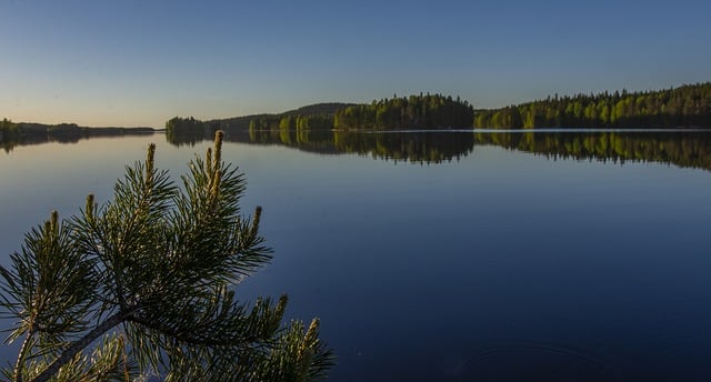 Free download evening calm lake pine bay kuopio free picture to be edited with GIMP free online image editor