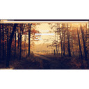 Evening Forest Path Sunbeams  screen for extension Chrome web store in OffiDocs Chromium