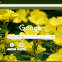 Evening Primrose  screen for extension Chrome web store in OffiDocs Chromium