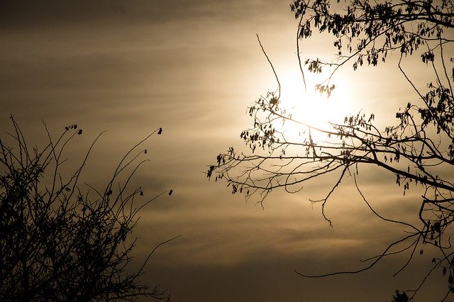 הורדה חינם של Evening Sun Sky תבנית תמונה בחינם לעריכה עם עורך התמונות המקוון GIMP