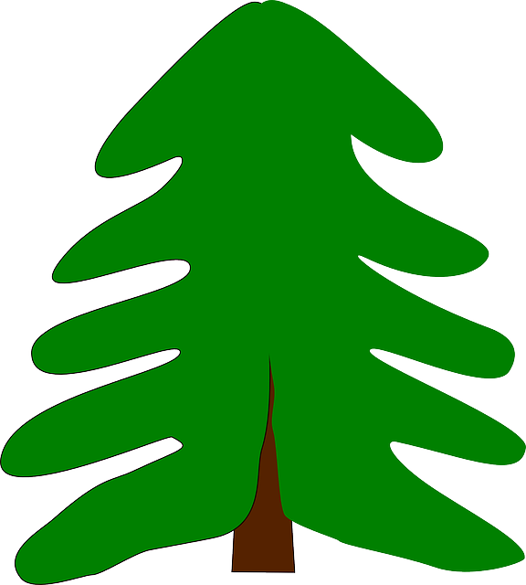 Free download Evergreen Spruce Fir - Free vector graphic on Pixabay free illustration to be edited with GIMP free online image editor