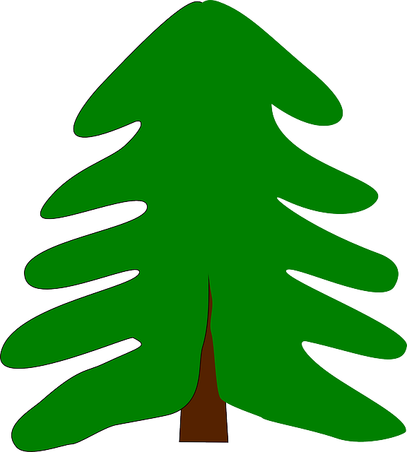 বিনামূল্যে ডাউনলোড করুন Evergreen Spruce Fir - Pixabay-এ বিনামূল্যের ভেক্টর গ্রাফিক GIMP বিনামূল্যের অনলাইন ইমেজ এডিটরের মাধ্যমে সম্পাদনা করা হবে বিনামূল্যের চিত্র