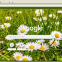 Everlasting Daisy  screen for extension Chrome web store in OffiDocs Chromium