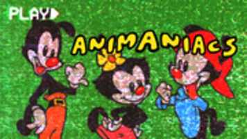 Free download Every Cartoon Ever #2 Animaniacs (1993) free photo or picture to be edited with GIMP online image editor