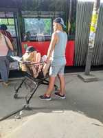 Free download evutxtiaxwyw free photo or picture to be edited with GIMP online image editor