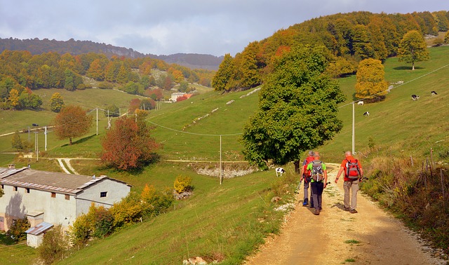 Descarga gratuita excursión caminata sendero montaña imagen gratuita para editar con el editor de imágenes en línea gratuito GIMP