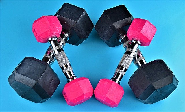 Muat turun percuma Exercise Weights Fitness - foto atau gambar percuma untuk diedit dengan editor imej dalam talian GIMP