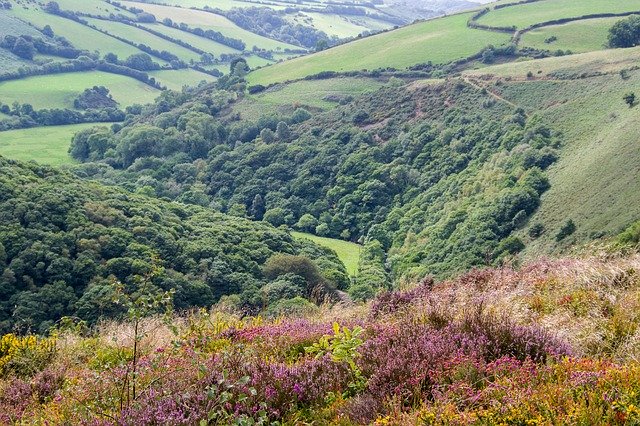 Bezpłatne pobieranie Exmoor Landscape England - bezpłatne zdjęcie lub obraz do edycji za pomocą internetowego edytora obrazów GIMP