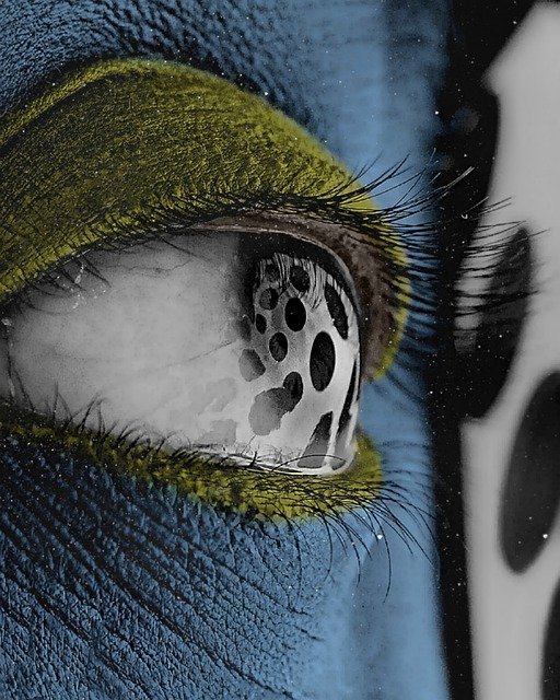 Muat turun percuma Eyeball Macro Culture - foto atau gambar percuma untuk diedit dengan editor imej dalam talian GIMP