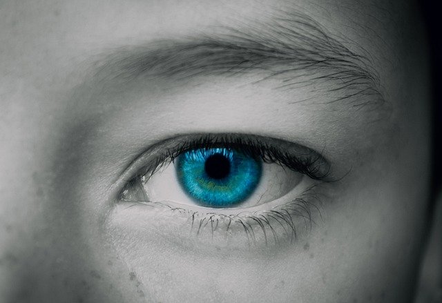 Free download eye blue sight vision eyelashes free picture to be edited with GIMP free online image editor