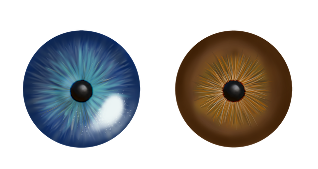 Free download Eye Iris Blue Fish -  free illustration to be edited with GIMP free online image editor