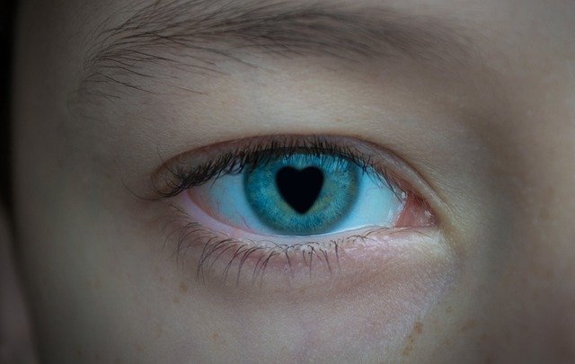 Free download eye love romance eyelashes brows free picture to be edited with GIMP free online image editor