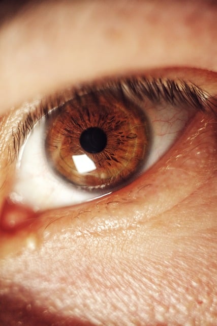 Free download eye macro canon human see face free picture to be edited with GIMP free online image editor