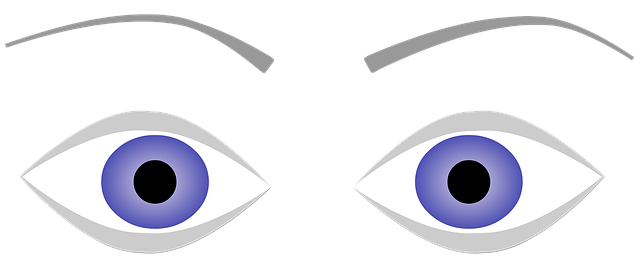 Free download Eyes Eyebrows Blue -  free illustration to be edited with GIMP free online image editor