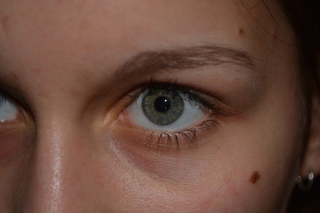 Free download Eyes Green Face -  free photo or picture to be edited with GIMP online image editor
