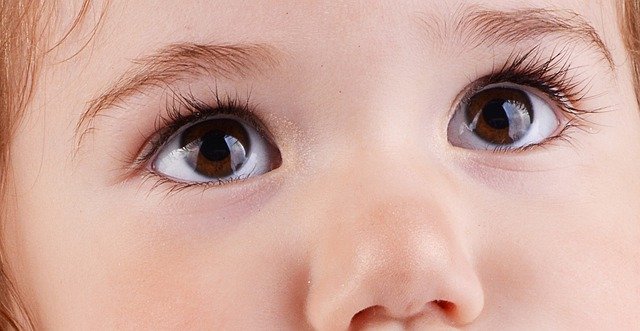 Free download Eyes Nose Cilia -  free photo or picture to be edited with GIMP online image editor