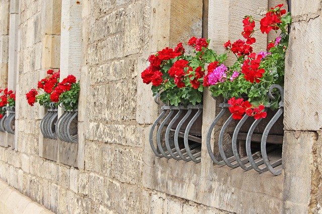 Free picture Facade House Window Flower -  to be edited by GIMP free image editor by OffiDocs