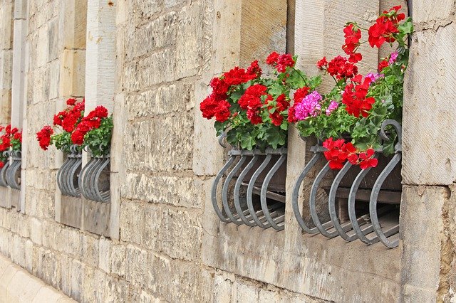 Free download Facade House Window Flower -  free photo or picture to be edited with GIMP online image editor