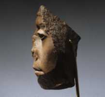 Free download Face of Senwosret III free photo or picture to be edited with GIMP online image editor
