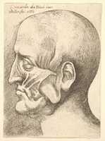 Free download Facial Muscles, after Leonardo free photo or picture to be edited with GIMP online image editor