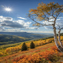 Fairyland autumn wallpaper  screen for extension Chrome web store in OffiDocs Chromium