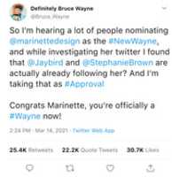 Free download Fake Bruce New Wayne free photo or picture to be edited with GIMP online image editor