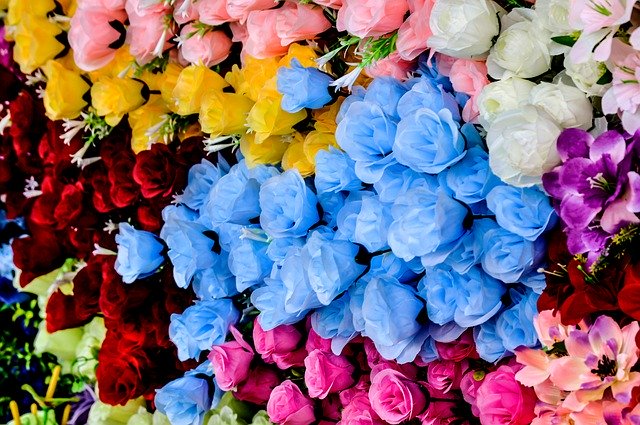 Muat turun percuma Fake Flowers Colorful - foto atau gambar percuma untuk diedit dengan editor imej dalam talian GIMP