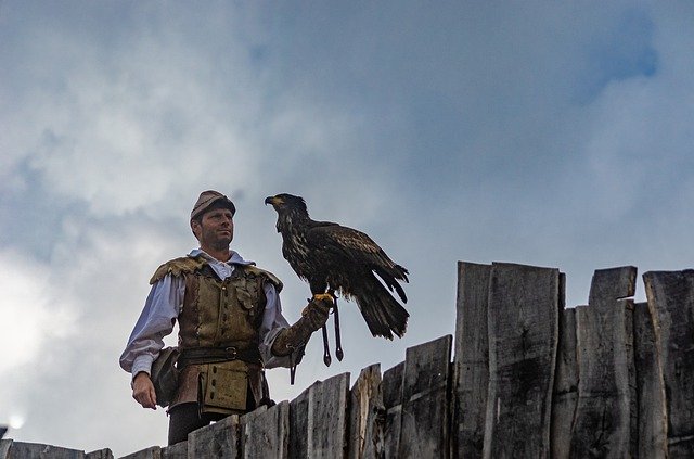 Безкоштовно завантажте Falconer Eagle Trainer - безкоштовну фотографію чи зображення для редагування за допомогою онлайн-редактора зображень GIMP