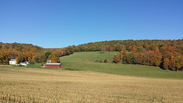 Free download Fall Autumn Agriculture -  free photo or picture to be edited with GIMP online image editor