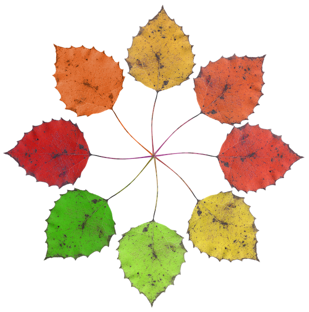 Téléchargement gratuit des feuilles d'automne d'automne - photo ou image gratuite à éditer avec l'éditeur d'images en ligne GIMP