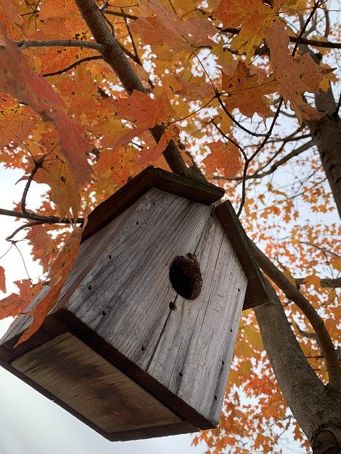Free download Fall Birdhouse Autumn -  free free photo or picture to be edited with GIMP online image editor