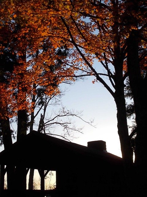 가을 색 가을 무료 다운로드 - 무료 사진 또는 김프 온라인 이미지 편집기로 편집할 사진