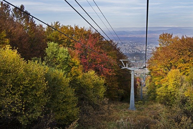 Téléchargement gratuit de couleurs d'automne feuillage vif - photo ou image gratuite à éditer avec l'éditeur d'images en ligne GIMP