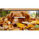 fall dog (1920x1080)  screen for extension Chrome web store in OffiDocs Chromium