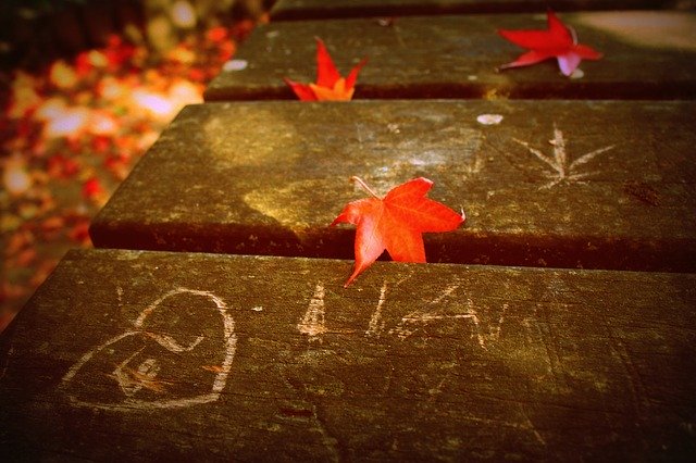 Free download Fall Graffiti Table -  free photo or picture to be edited with GIMP online image editor