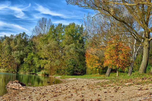 Free download fall green autumn leaves nature free picture to be edited with GIMP free online image editor
