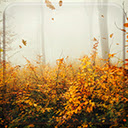 Falling Autumn  screen for extension Chrome web store in OffiDocs Chromium