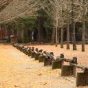 Falling leaf park  screen for extension Chrome web store in OffiDocs Chromium