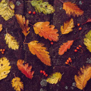Falling leaves  screen for extension Chrome web store in OffiDocs Chromium