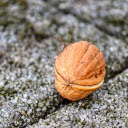 Falling walnuts  screen for extension Chrome web store in OffiDocs Chromium