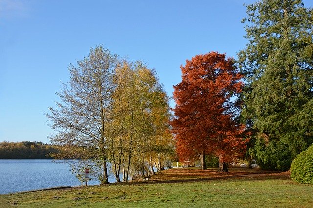 ດາວ​ໂຫຼດ​ຟຣີ Fall Landscape Trees - ຮູບ​ພາບ​ຟຣີ​ຫຼື​ຮູບ​ພາບ​ທີ່​ຈະ​ໄດ້​ຮັບ​ການ​ແກ້​ໄຂ​ກັບ GIMP ອອນ​ໄລ​ນ​໌​ບັນ​ນາ​ທິ​ການ​ຮູບ​ພາບ​