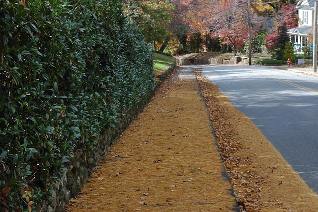 Free download fall leaves outside sidewalk free picture to be edited with GIMP free online image editor