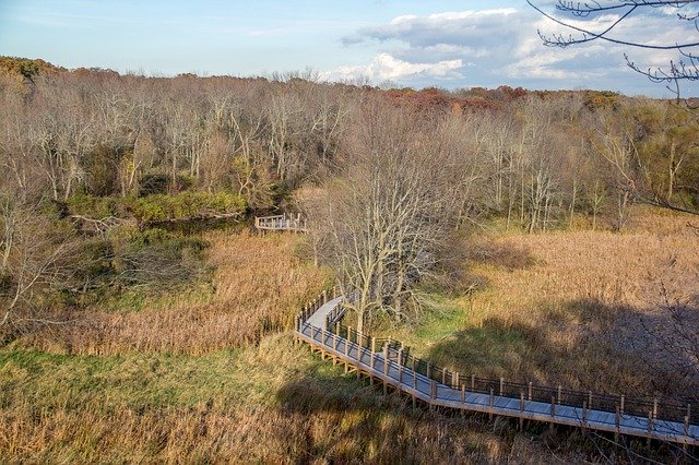 무료 다운로드 Fall Michigan Park - 무료 무료 사진 또는 GIMP 온라인 이미지 편집기로 편집할 수 있는 사진