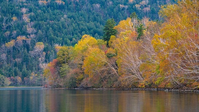 Free download fall nature autumn colors landscape free picture to be edited with GIMP free online image editor